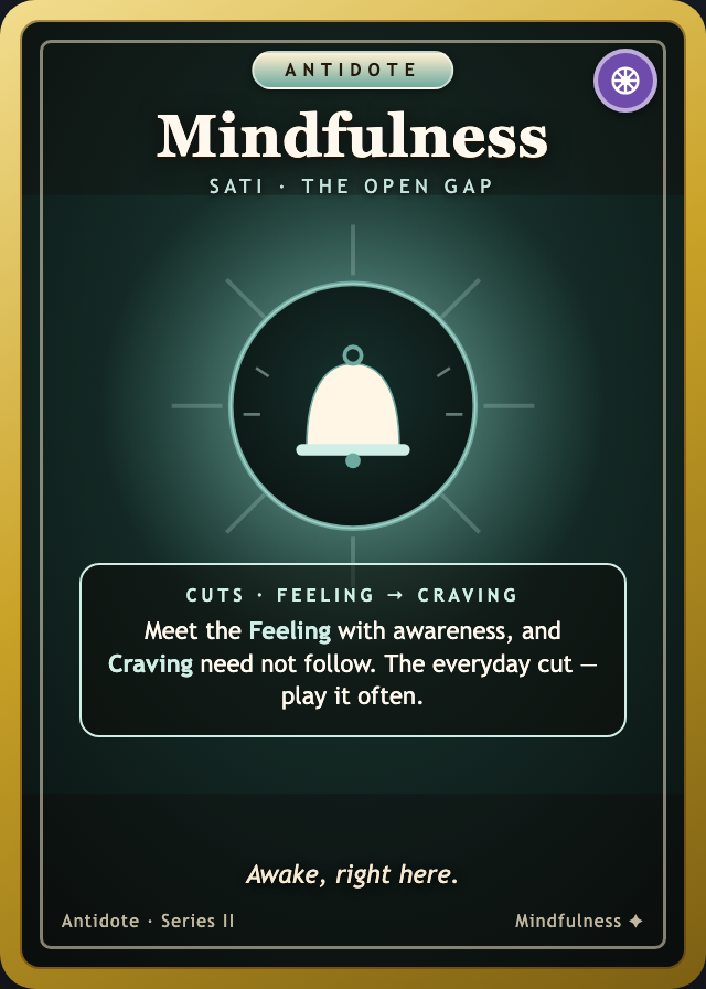 Mindfulness