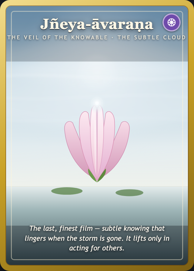 Jñeya-āvaraṇa card