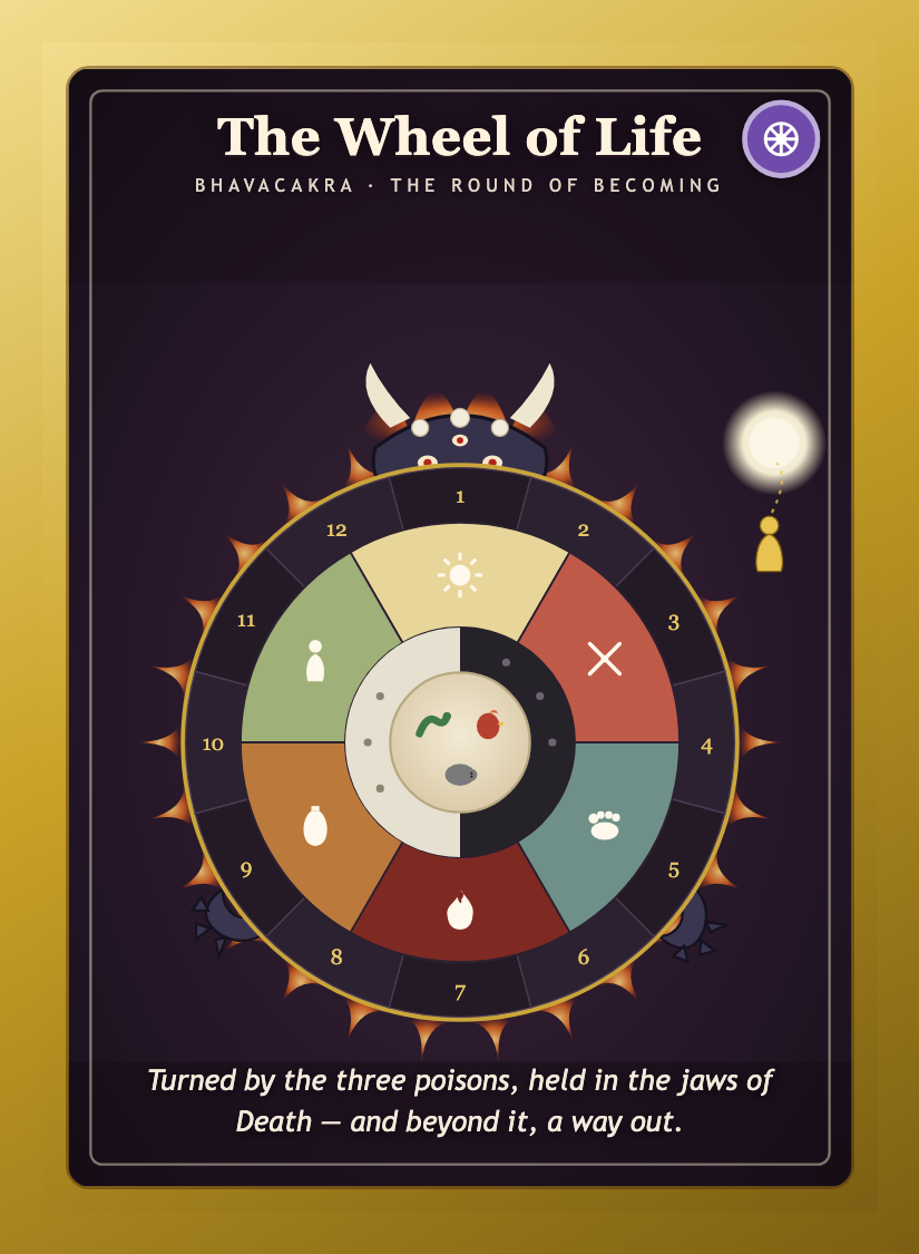 card-wheel-of-life